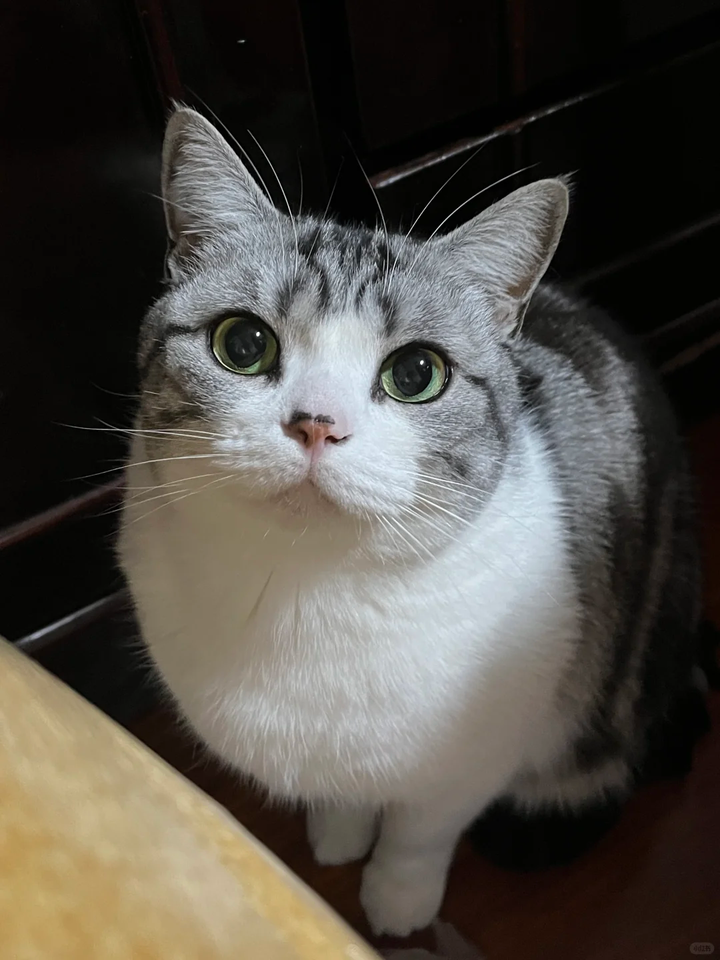 Our Light: Toby