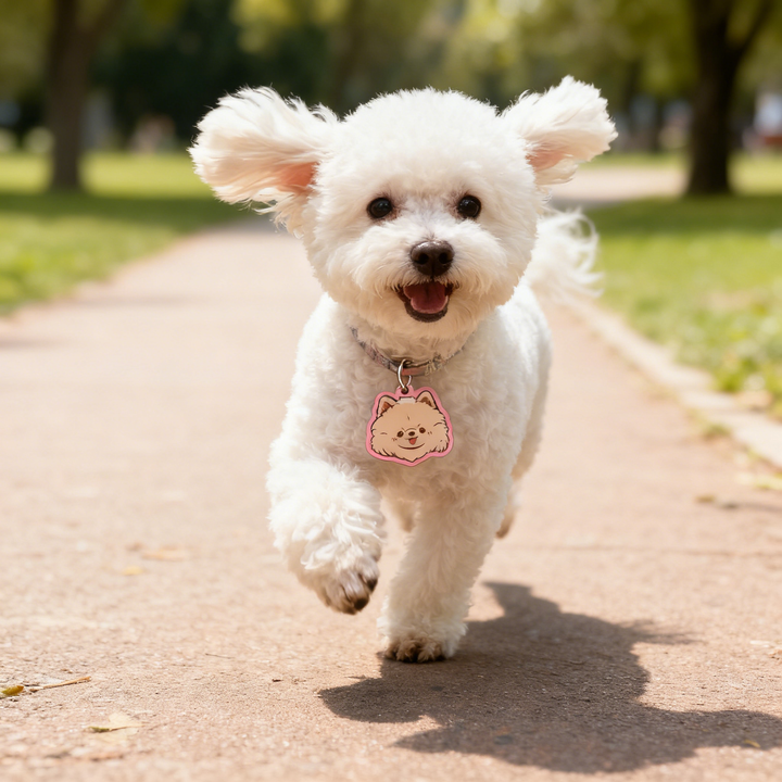 Long-Lasting DIY Custom Dog Tags | Craft Your Puppy's Perfect Tag
