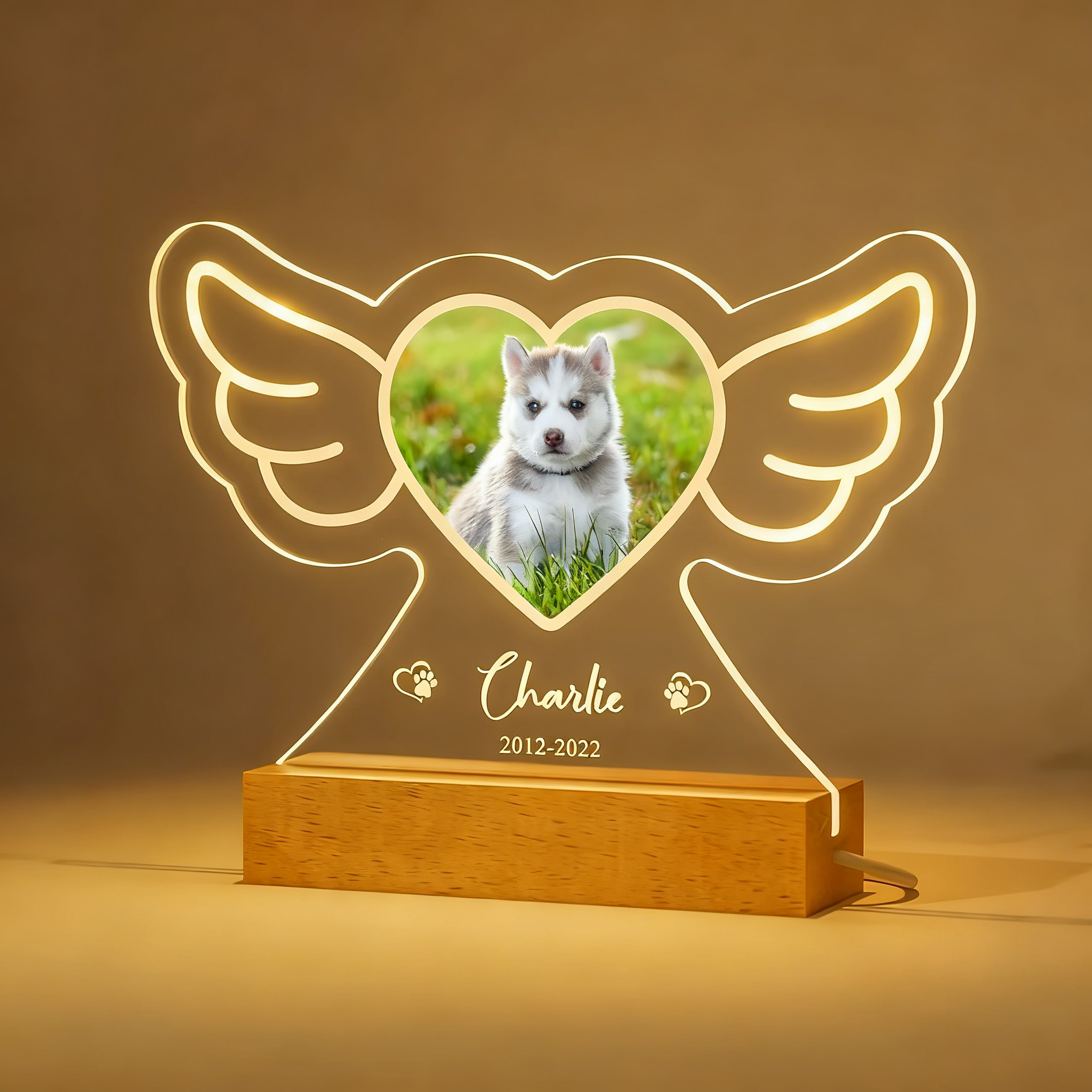 Personalized Dog Cat Memorial 3D Night Light - Custom Photo Printing Sympathy Gift for Christmas/Birthday/Valentine's
