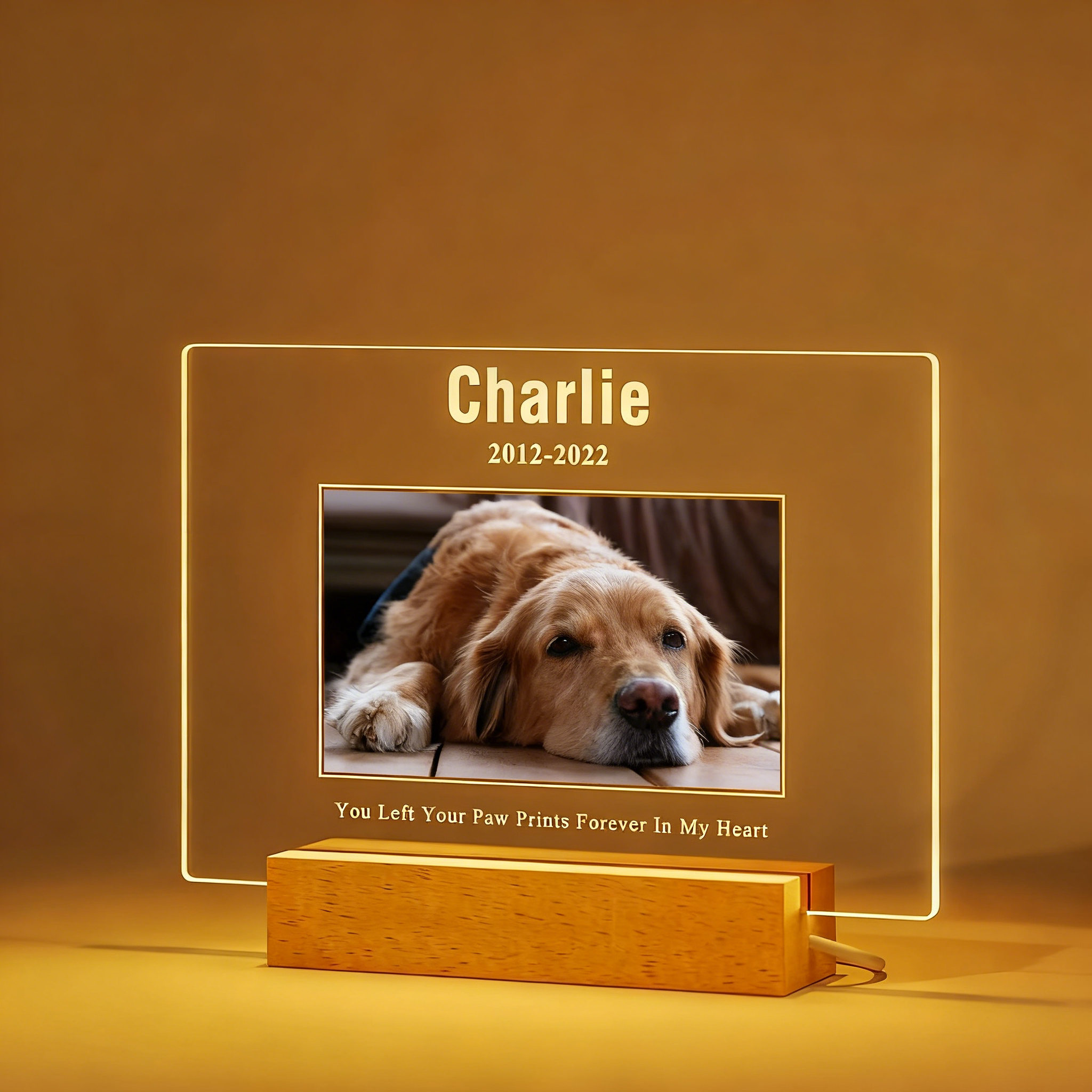 Personalized Dog Cat Memorial 3D Night Light - Custom Photo Printing Sympathy Gift for Christmas/Birthday/Valentine's