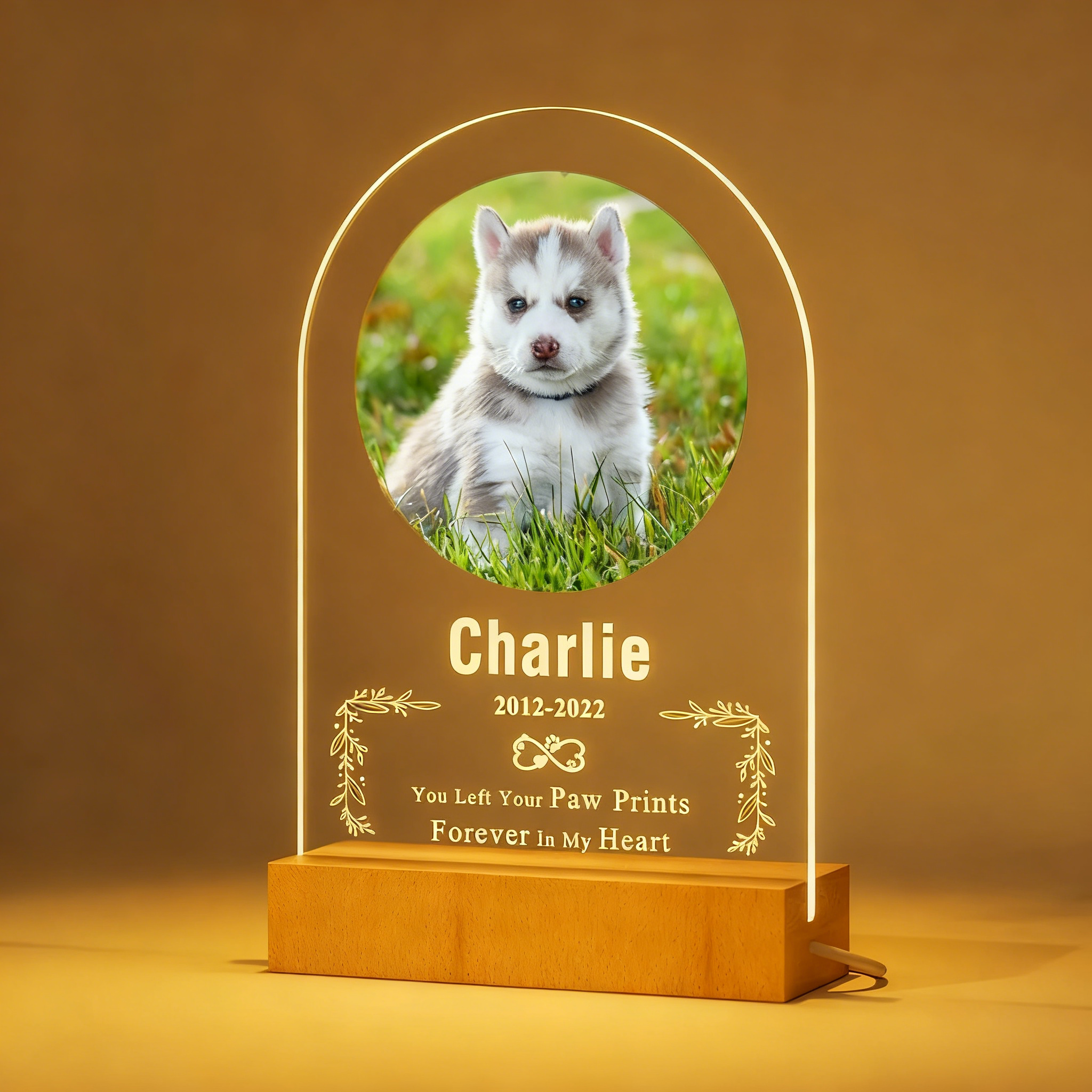 Personalized Dog Cat Memorial 3D Night Light - Custom Photo Printing Sympathy Gift for Christmas/Birthday/Valentine's