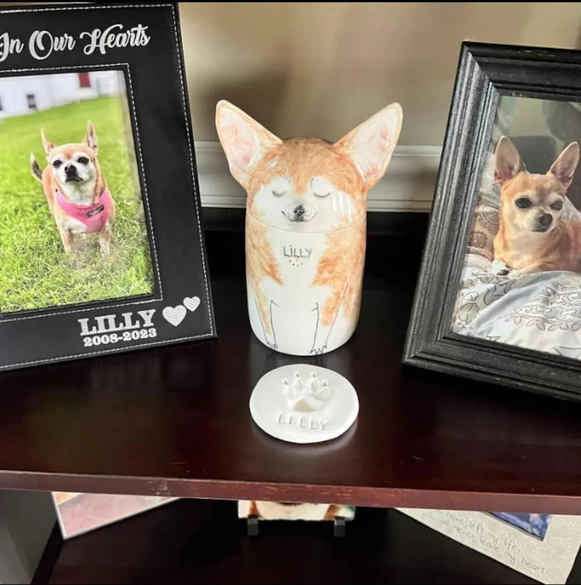 Made to Order: Custom Name + Animal Pattern Pet Urn (Semi-Spherical Cover) | Special Memory Multipurpose Memorial Box (Dog/Cat/Hamster & More)
