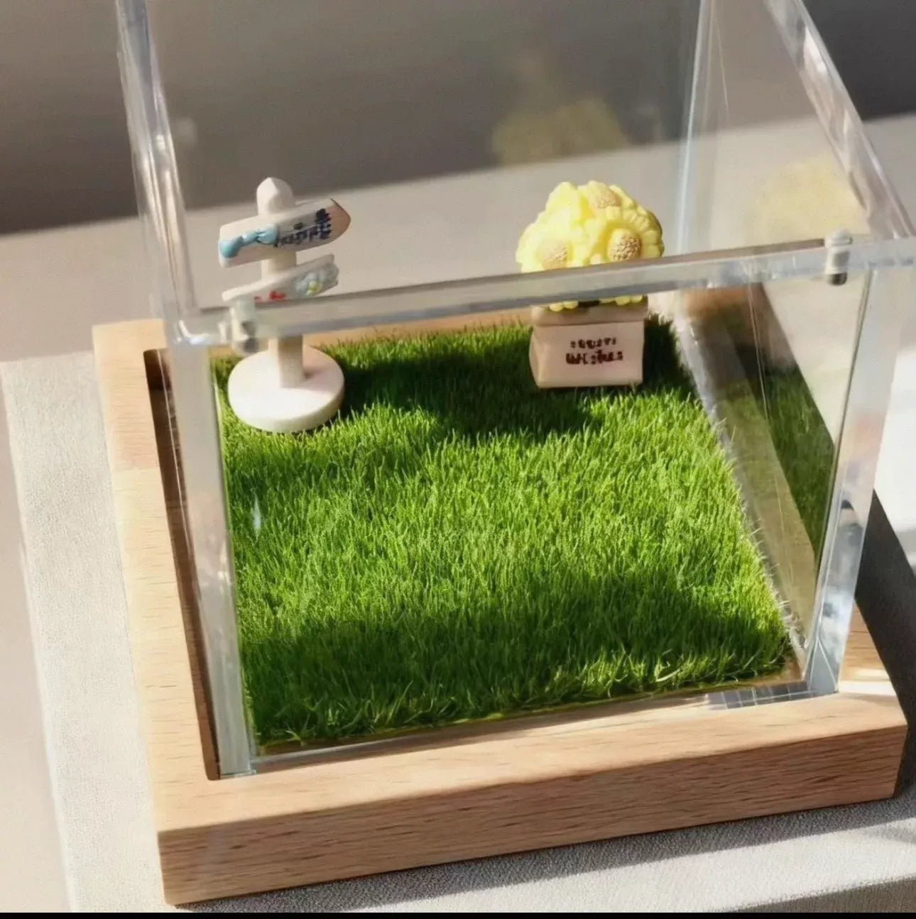 Pet Hologram Interactive Memorial Box - 3D Holographic Projector to Keep Your Pet's Memory Alive Forever