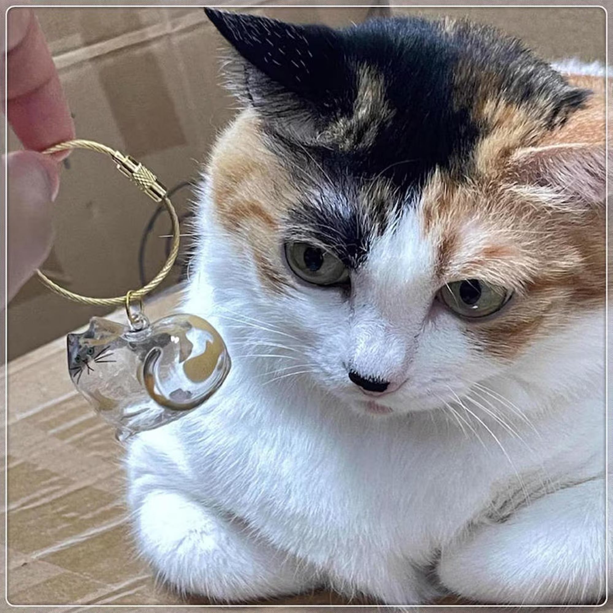 2PCS Cute Cat/Dog Fur Keepsake Keychain - Personalized Pet Hair Capsule