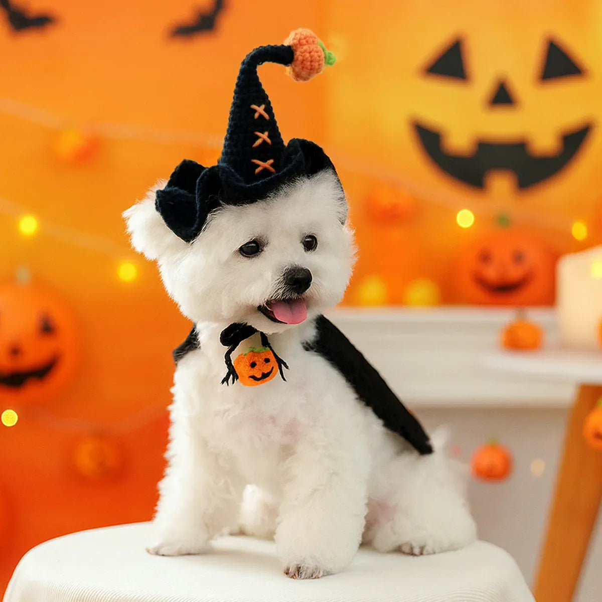 Furry Festive Hats: Halloween & Christmas Pet Accessories for Dogs/Cats