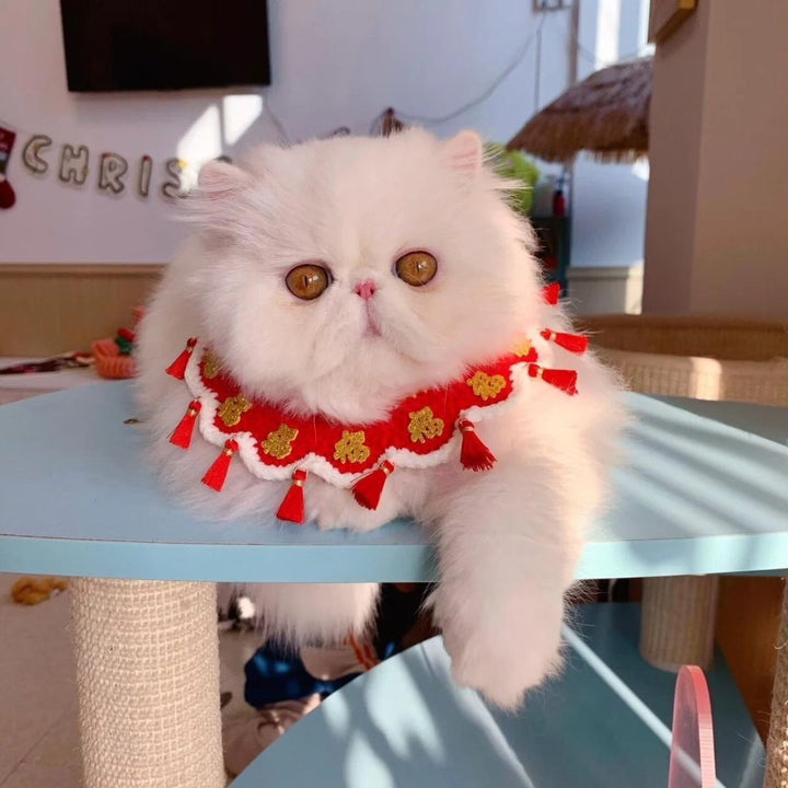 Winter New Year Pet Fu Bandana | Festive Collar Bib for Small Pets