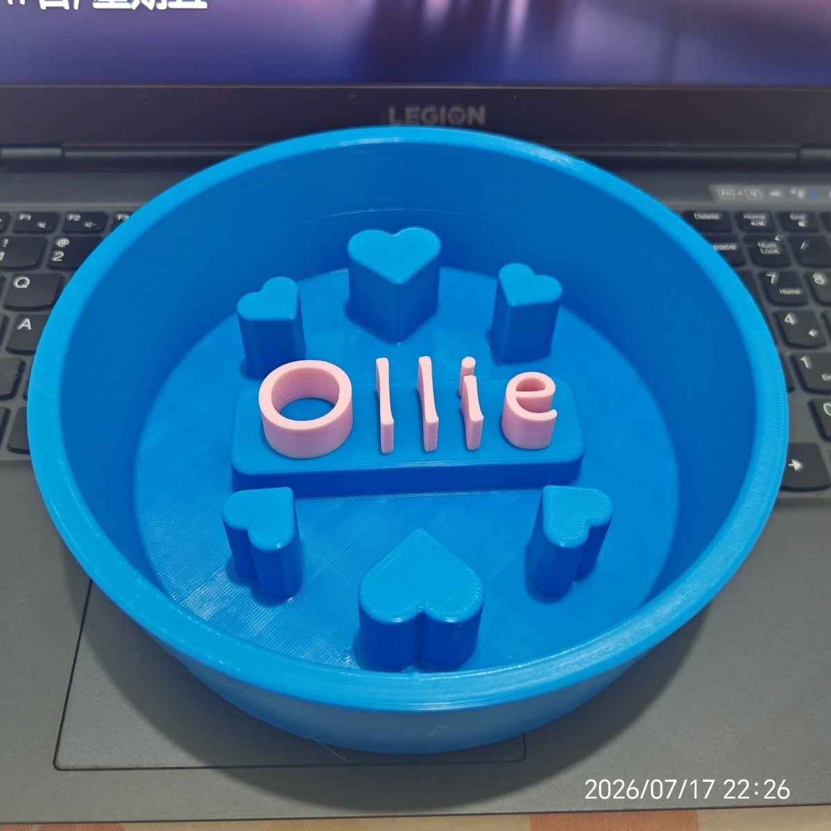 Personalized Slow Feeder Dog Bowl Custom Multi Color Pet Slow Eating Bowl Food Grade PLA 3D Printed Dog Bowl For Pets