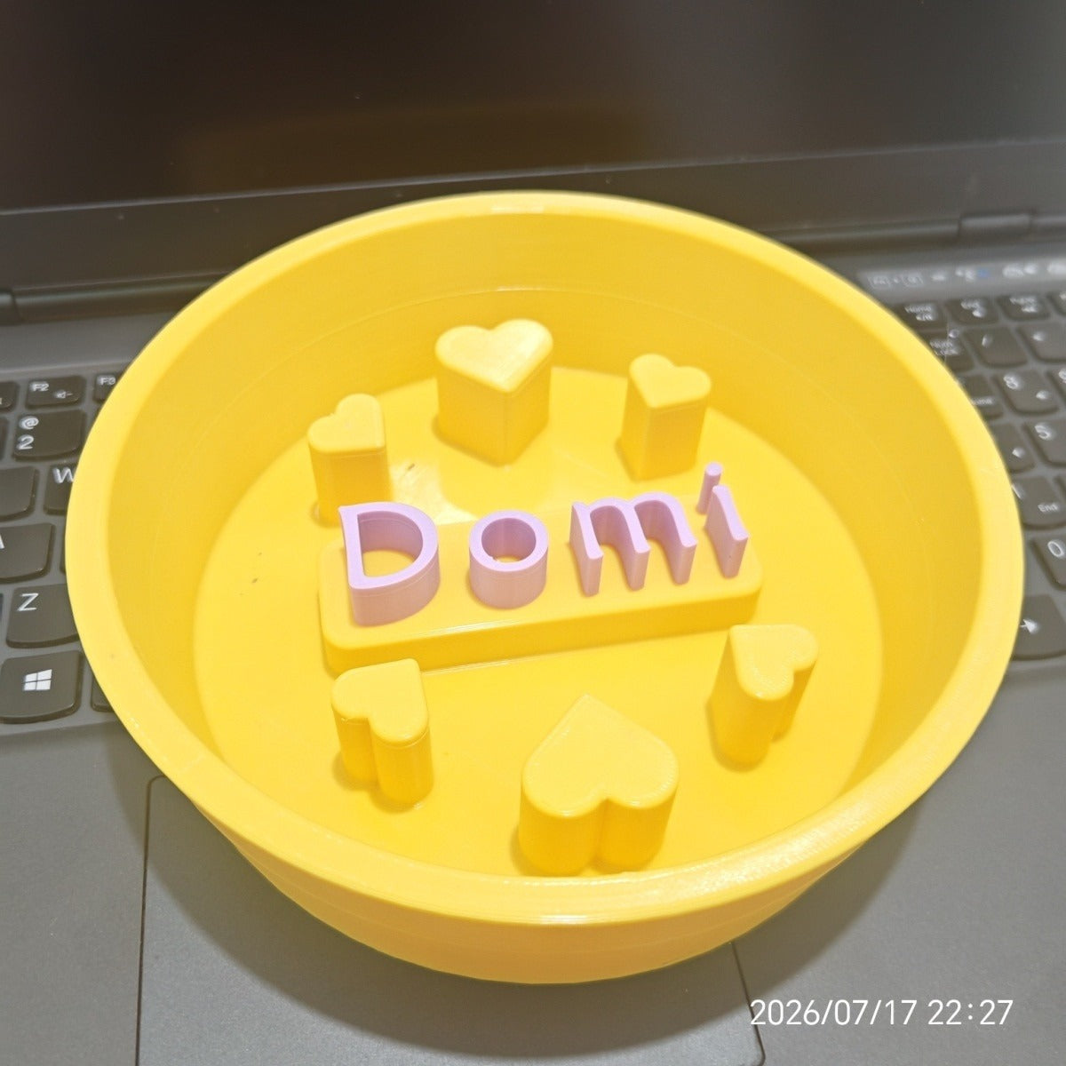 Personalized Slow Feeder Dog Bowl Custom Multi Color Pet Slow Eating Bowl Food Grade PLA 3D Printed Dog Bowl For Pets