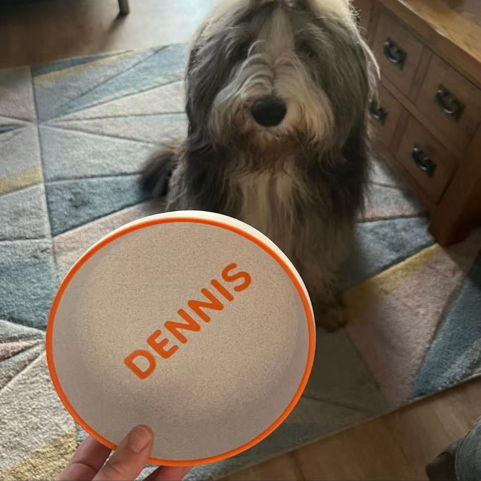 Pet Bowl For Cats And Dogs Pla Plastic Faux Marble Custom Name Birthday Memorial Gift Food And Water Feeding Bowl