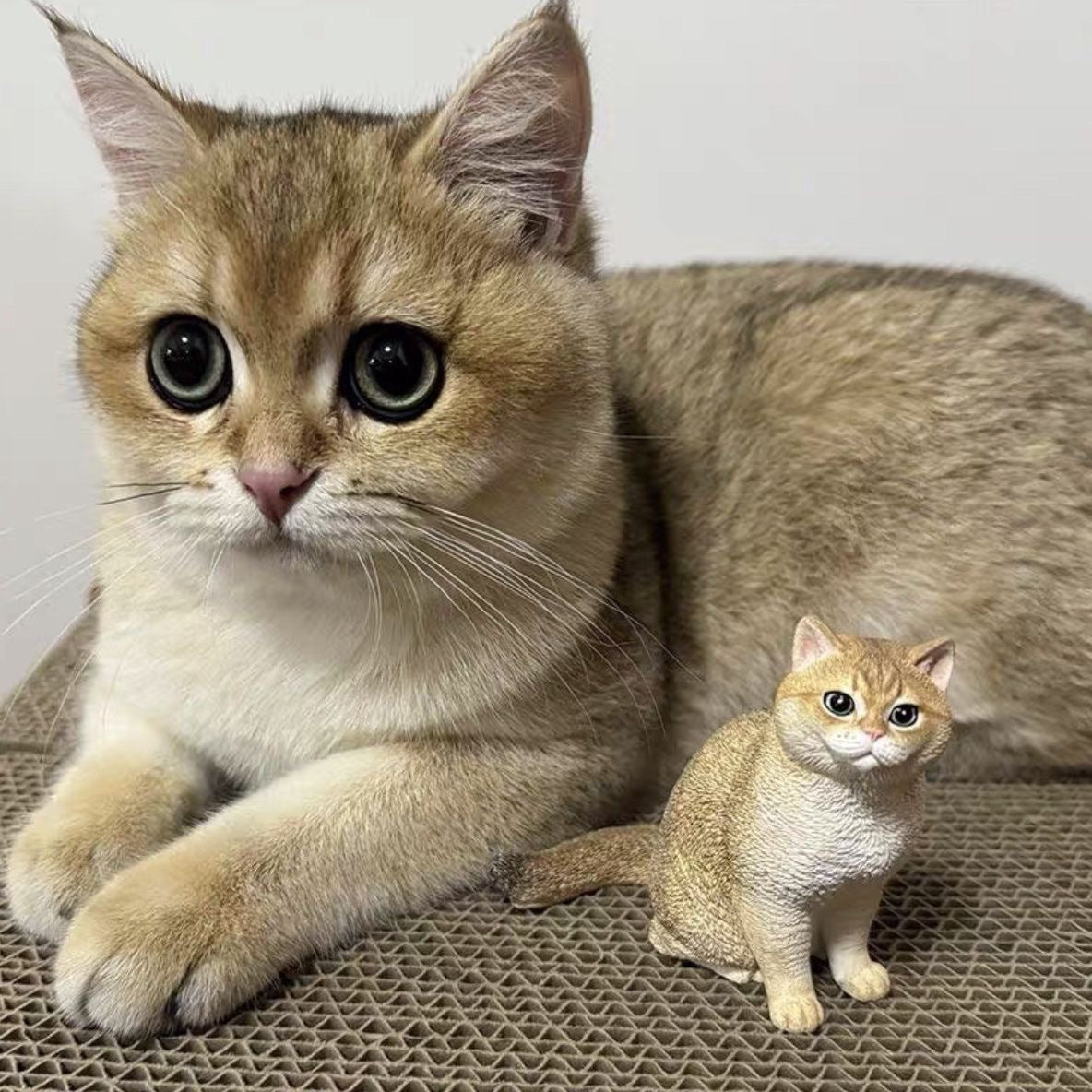 Custom 3D Pet Figurine Made From Photo Personalized Realistic Dog Cat Pet Handmade Doll Custom Pet Memorial Keepsake