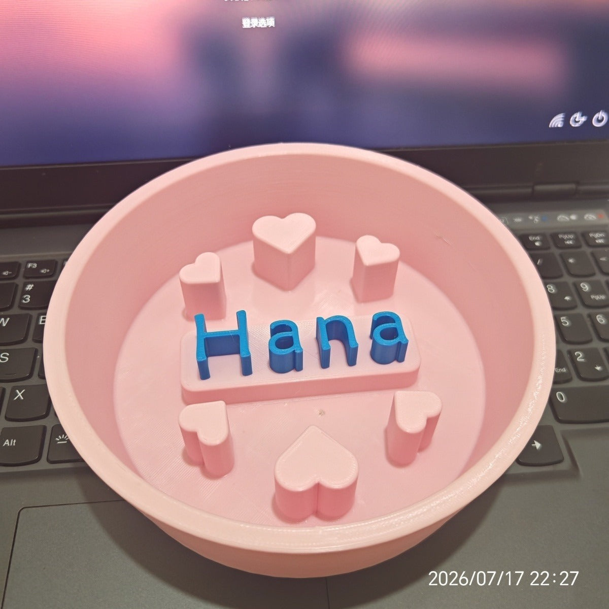 Personalized Slow Feeder Dog Bowl Custom Multi Color Pet Slow Eating Bowl Food Grade PLA 3D Printed Dog Bowl For Pets