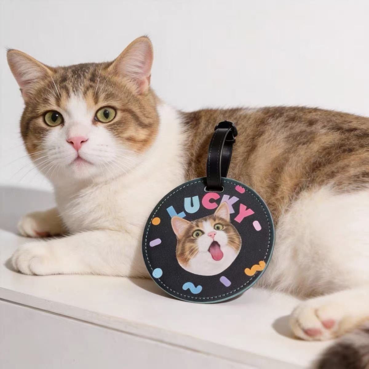 Custom Pet Luggage Tag Travel Boarding Pass Cat Dog Accessory Gift Bag Charm Creative Gift Diy