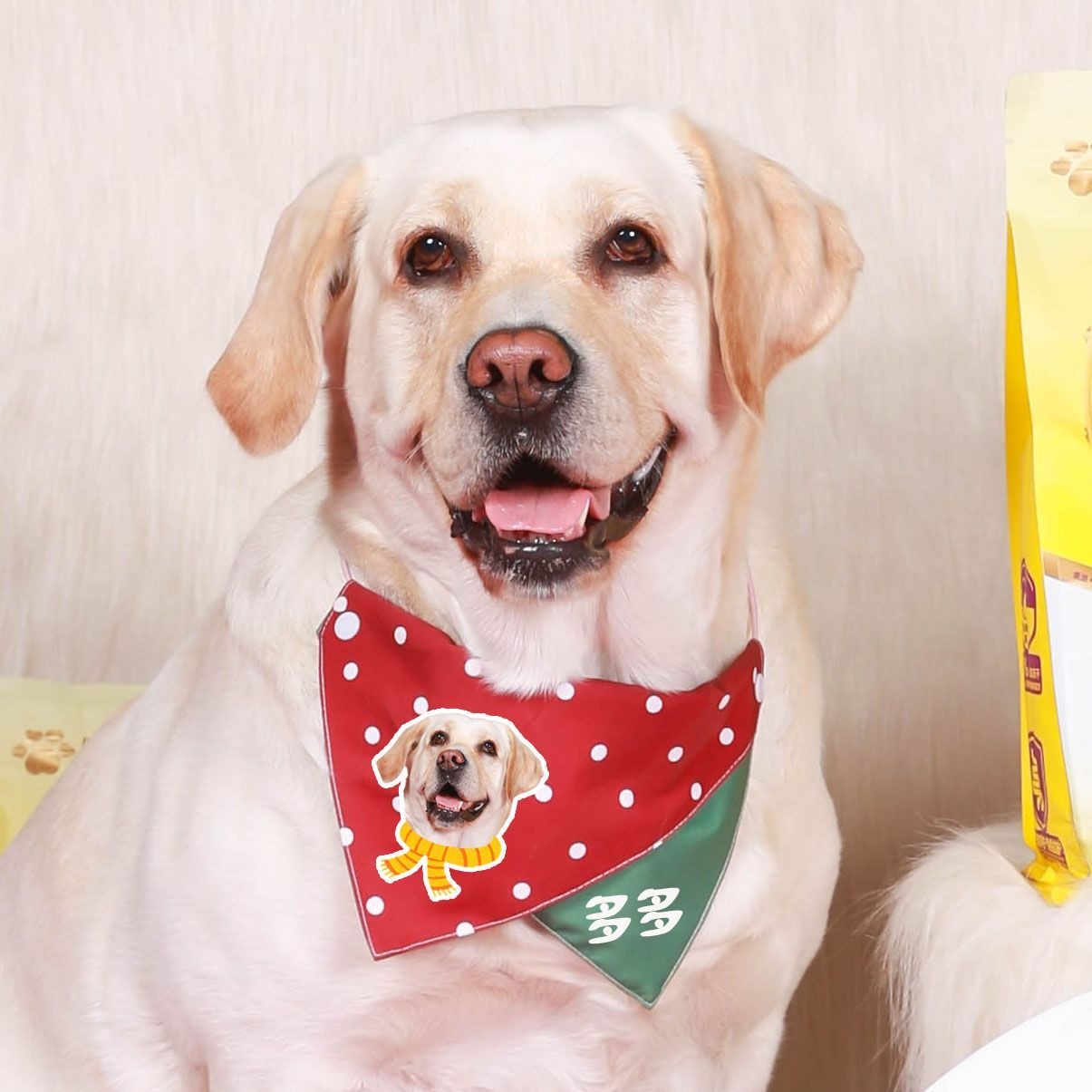 Custom Pet Bandana With Dog Cat Portrait Personalized Christmas Dog Neck Scarf Cute Puppy Kitten Saliva Bib Christmas Pet Costume Accessory