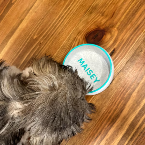 Pet Bowl For Cats And Dogs Pla Plastic Faux Marble Custom Name Birthday Memorial Gift Food And Water Feeding Bowl