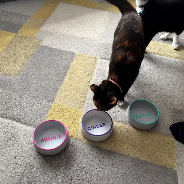 Pet Bowl For Cats And Dogs Pla Plastic Faux Marble Custom Name Birthday Memorial Gift Food And Water Feeding Bowl