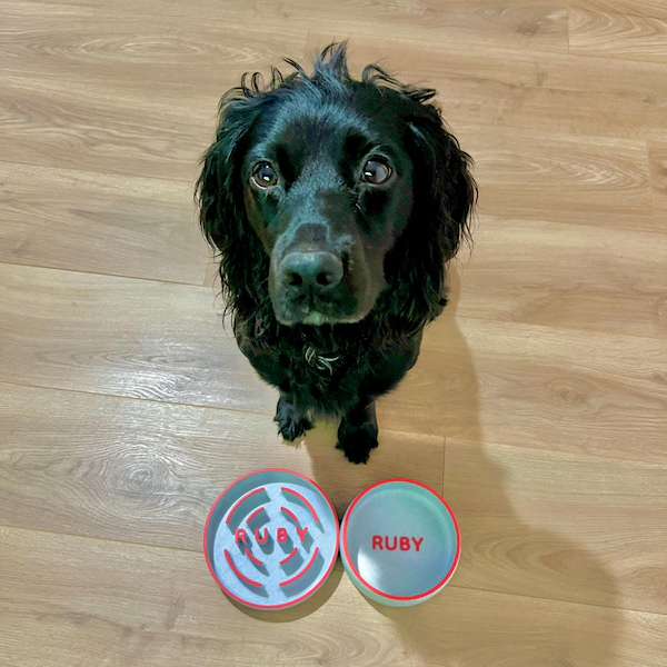 Pet Bowl For Cats And Dogs Pla Plastic Faux Marble Custom Name Birthday Memorial Gift Food And Water Feeding Bowl