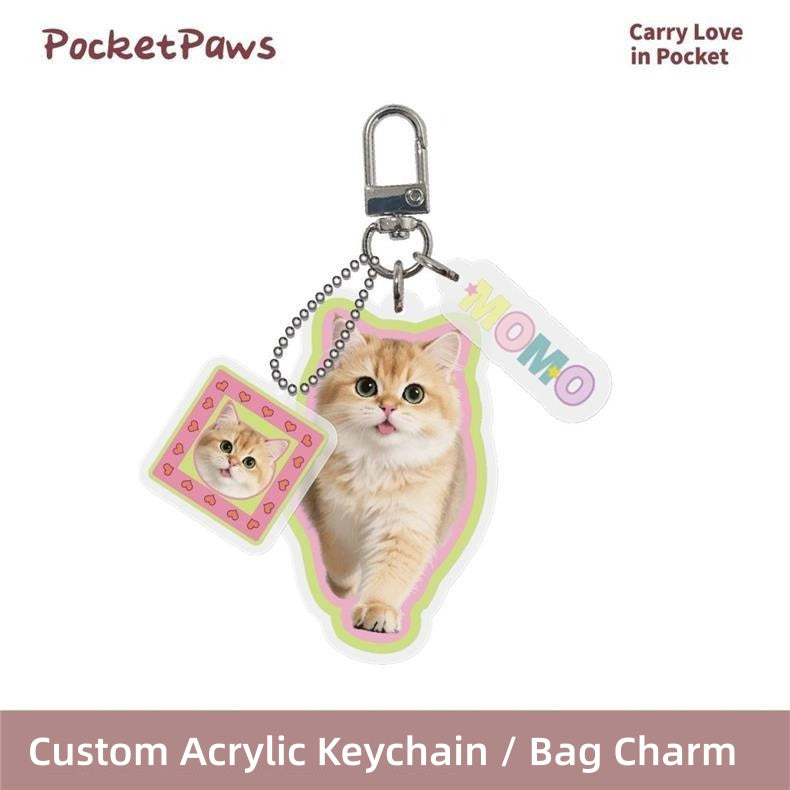 Personalized Photo Custom Acrylic Pet Tag DIY Dog Cat Name ID Tag Keychain Pet Bag Charm Custom Pet Gift For Dog Cat Owners